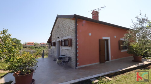 Thumbnail 6360817 - 5