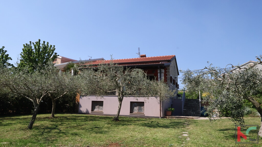 Image 6360817 - 1