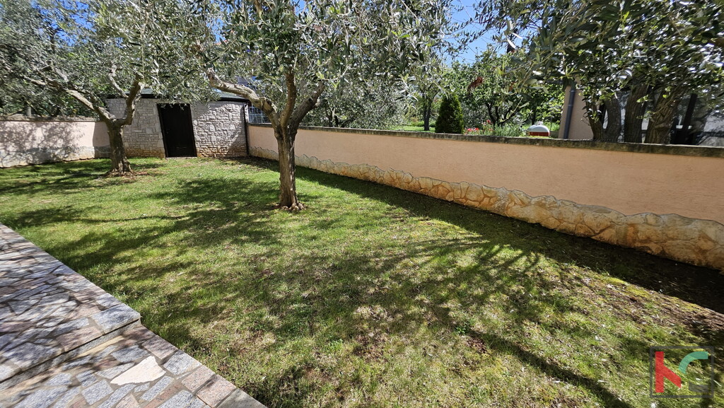 Image 6360818 - 11