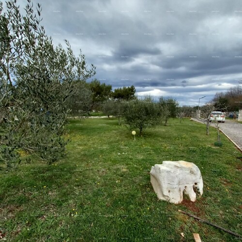 Thumbnail 6360852 - 6