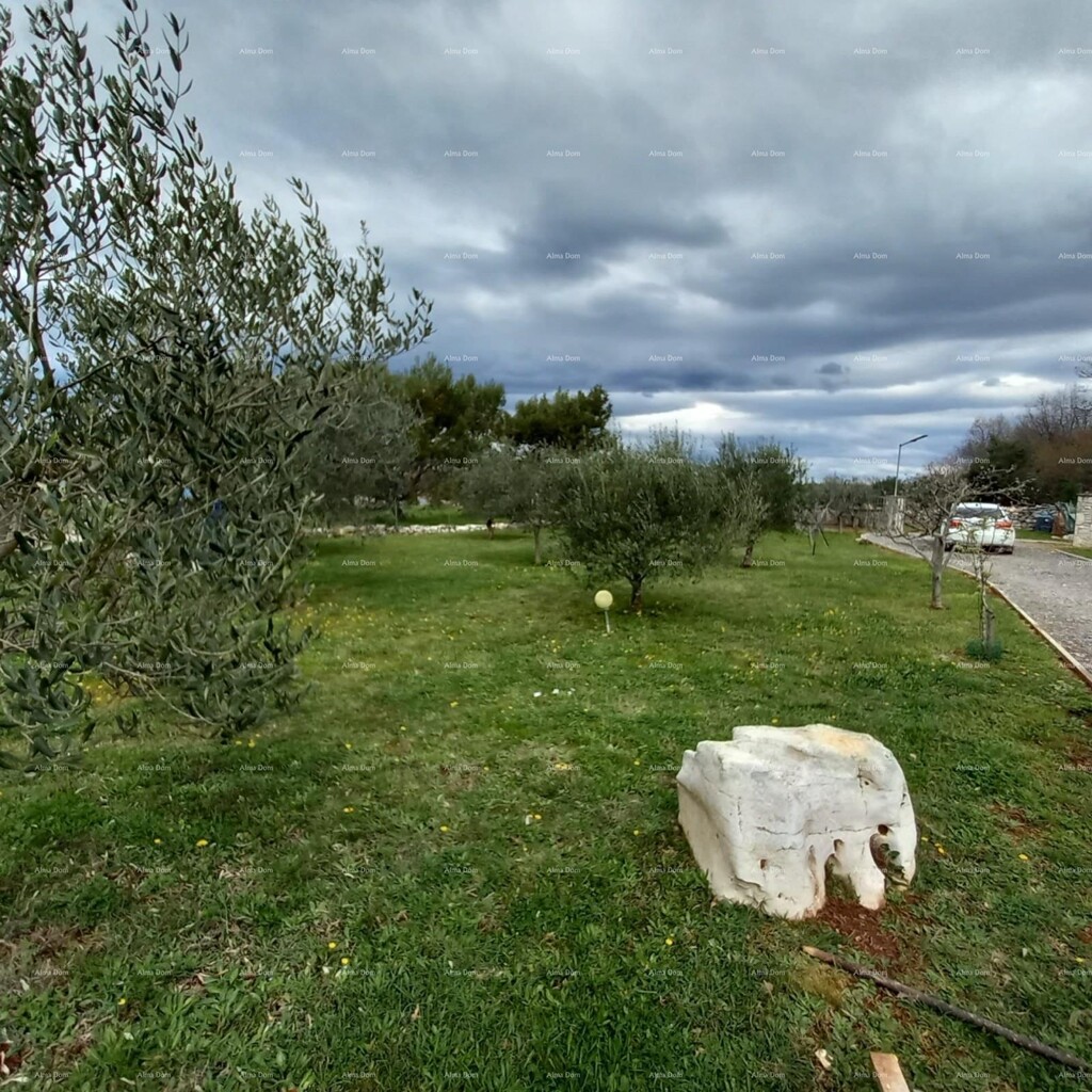 Image 6360852 - 6