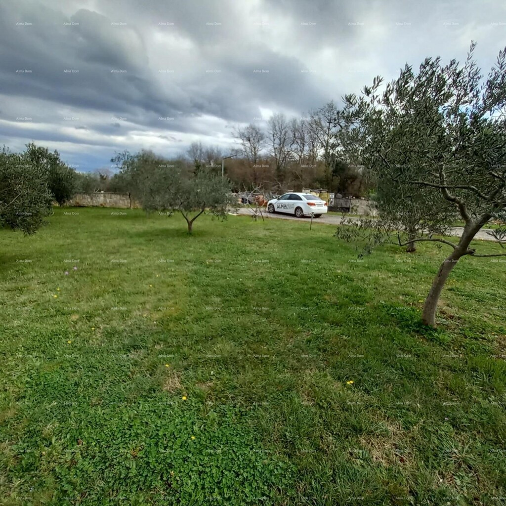 Image 6360852 - 5