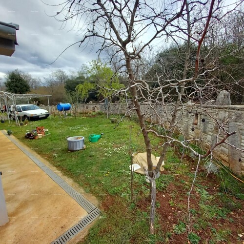 Thumbnail 6360852 - 8