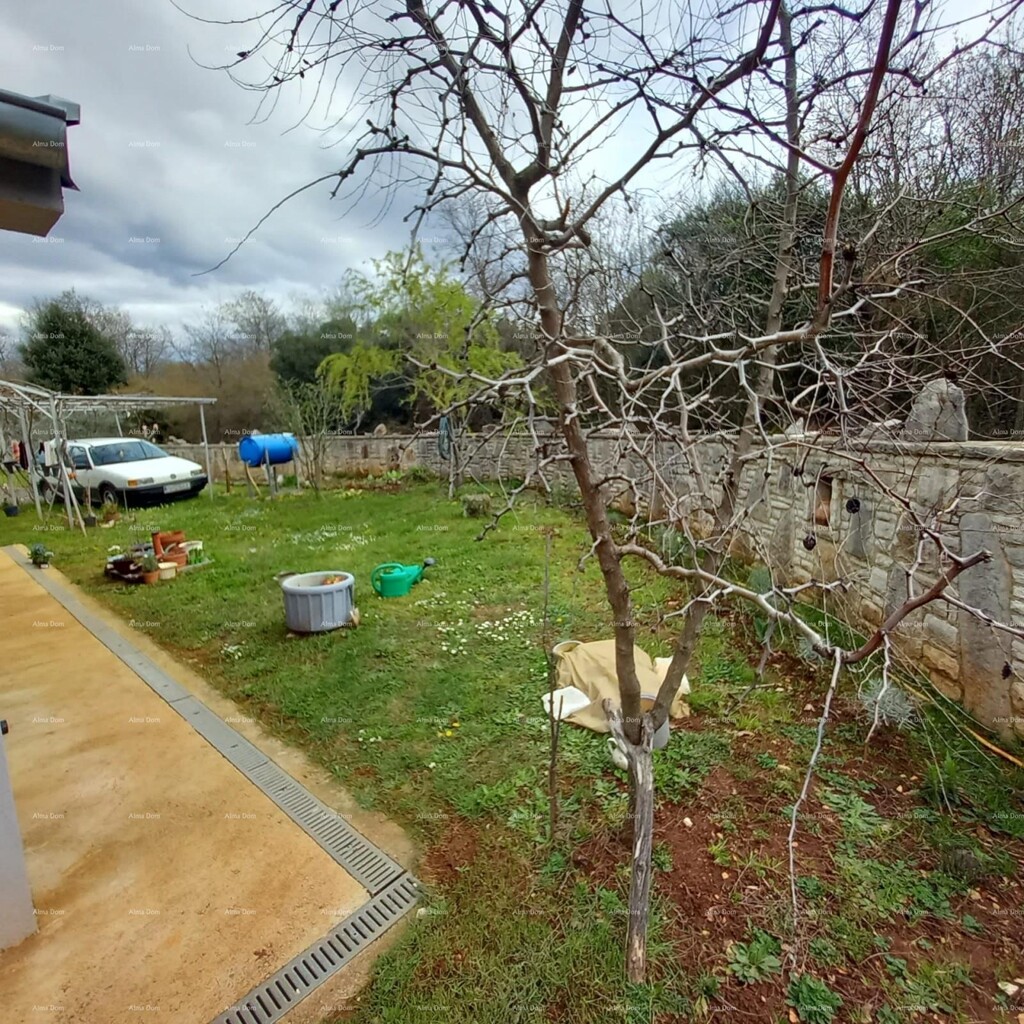 Image 6360852 - 8