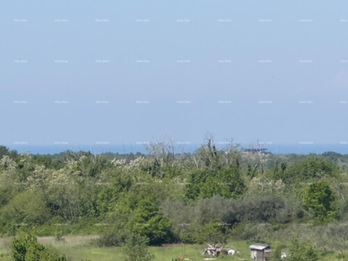 Thumbnail 6360857 - 36