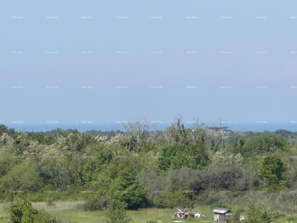 Image 6360857 - 36