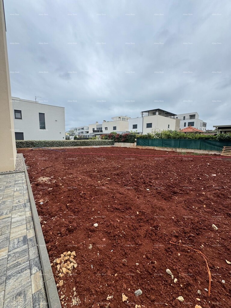 Image 15