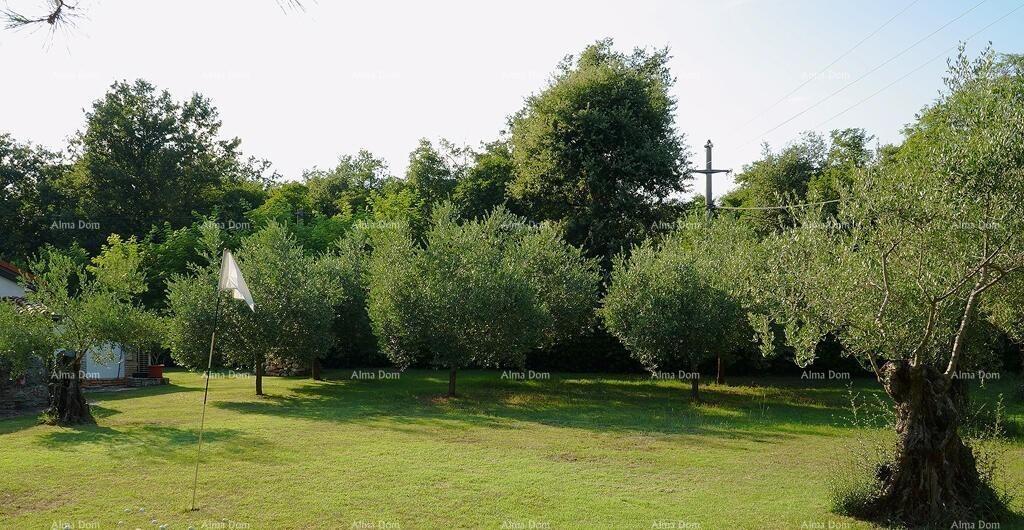 Image 17