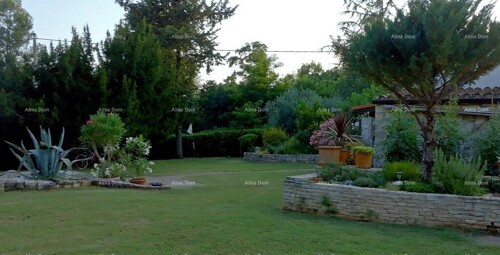 Thumbnail 6360870 - 19