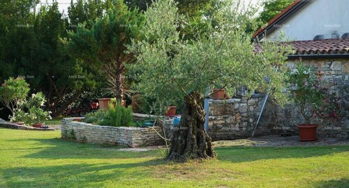 Thumbnail 6360870 - 16