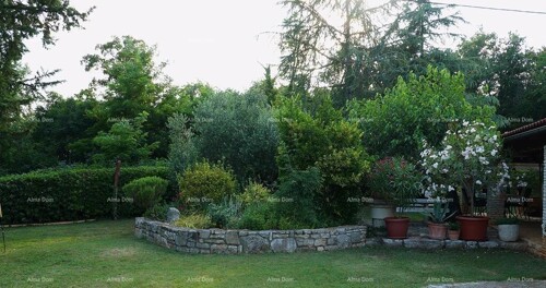 Thumbnail 6360870 - 18