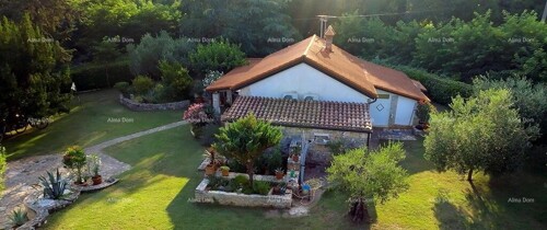 Thumbnail 6360870 - 3