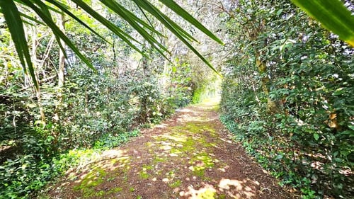 Istra,Zambratija-Građevinsko zemljište 300 m od mora