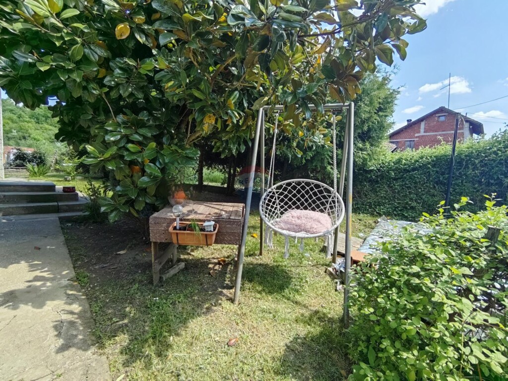 Image 13