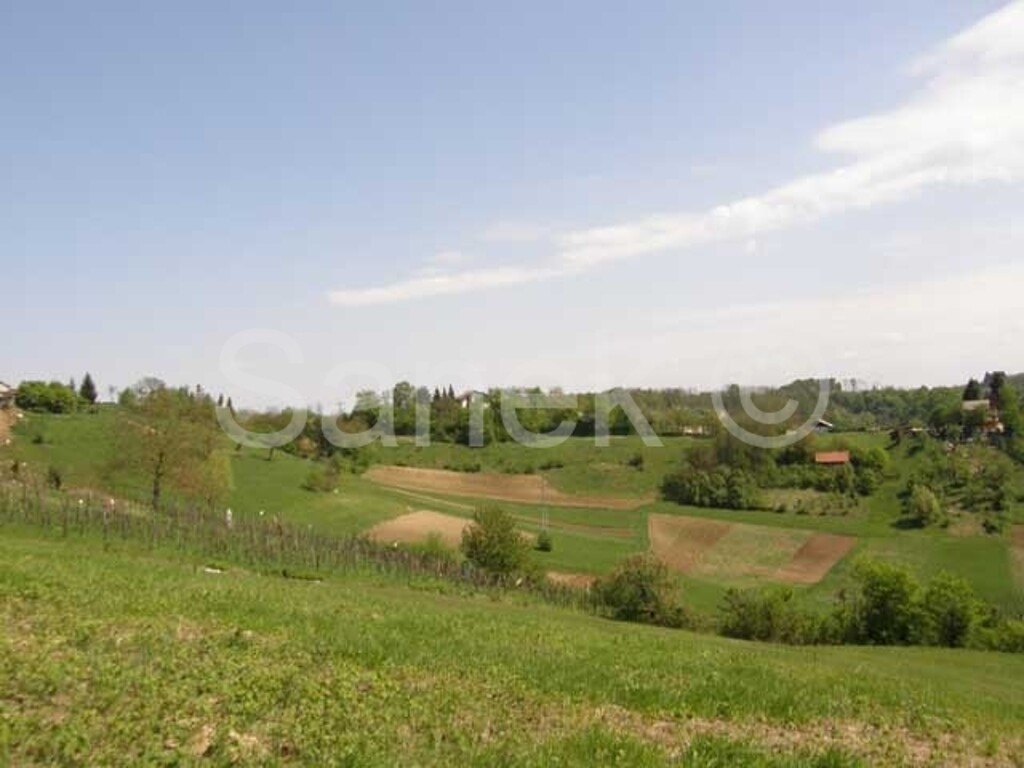 Image 959218 - 3