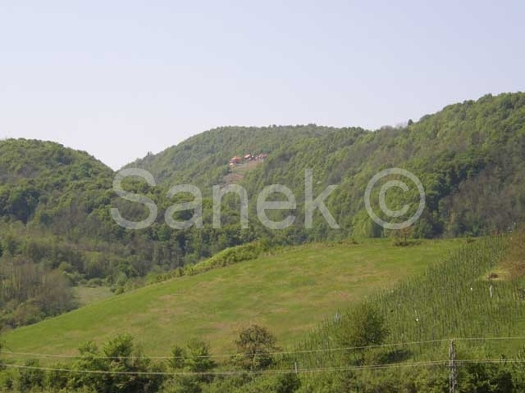 Image 959218 - 4