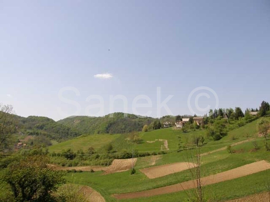 Image 959218 - 5