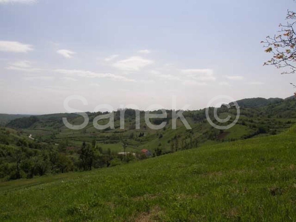 Image 959218 - 7