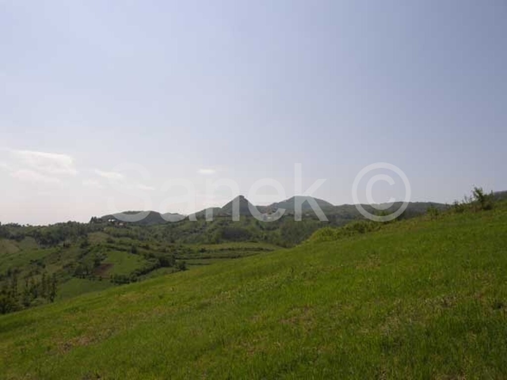 Image 959218 - 6