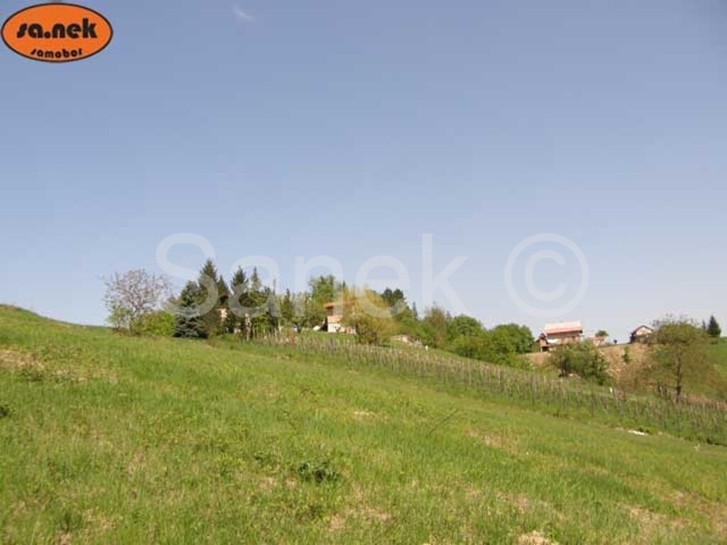 Image 959218 - 1