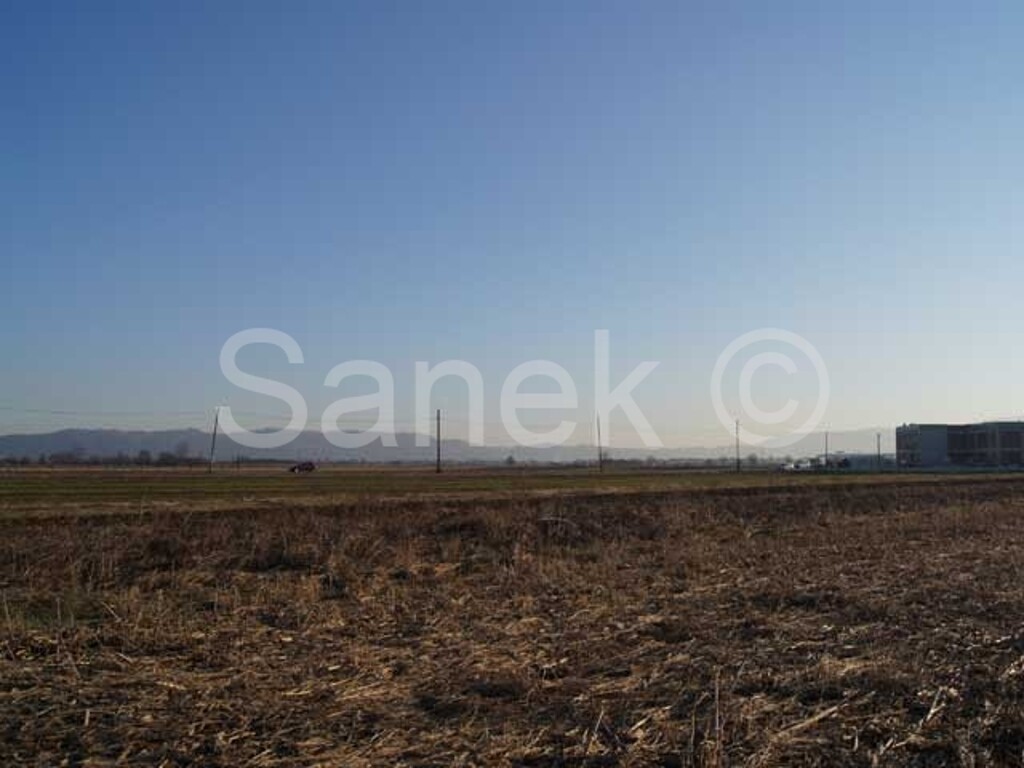 Image 959307 - 3