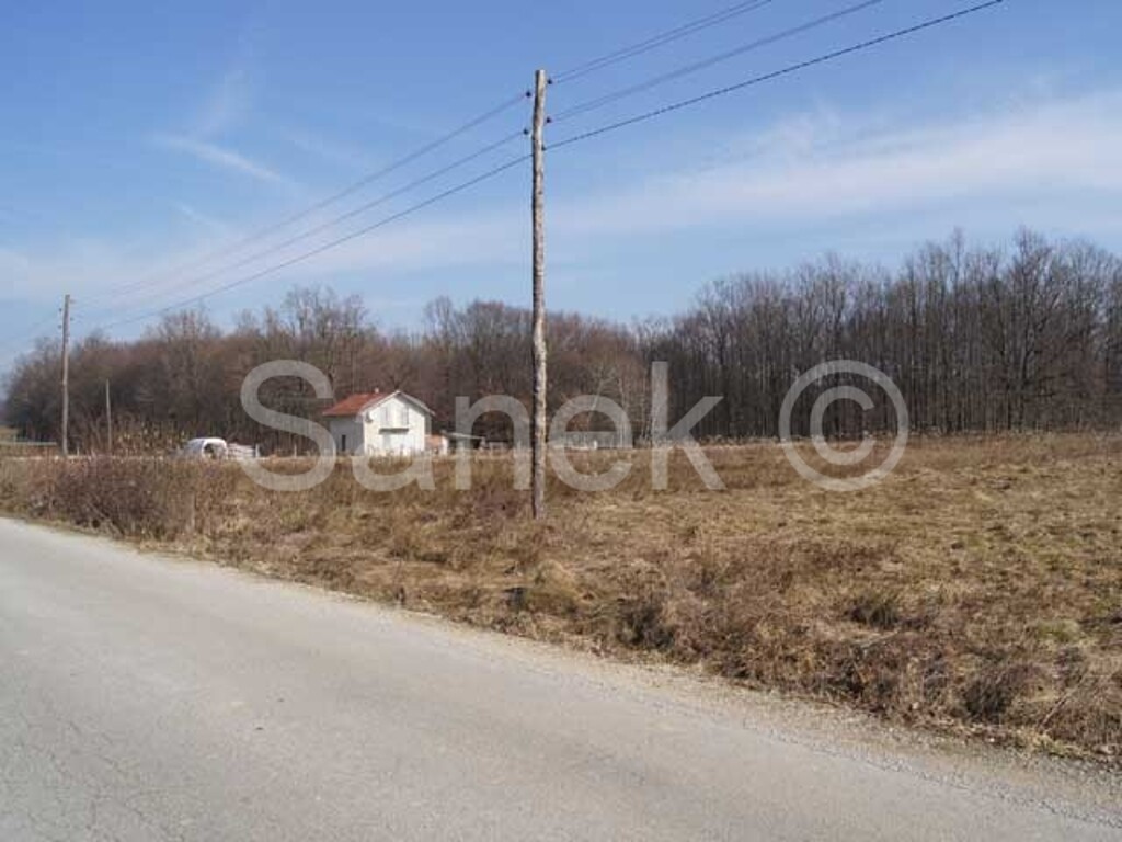 Image 959316 - 6