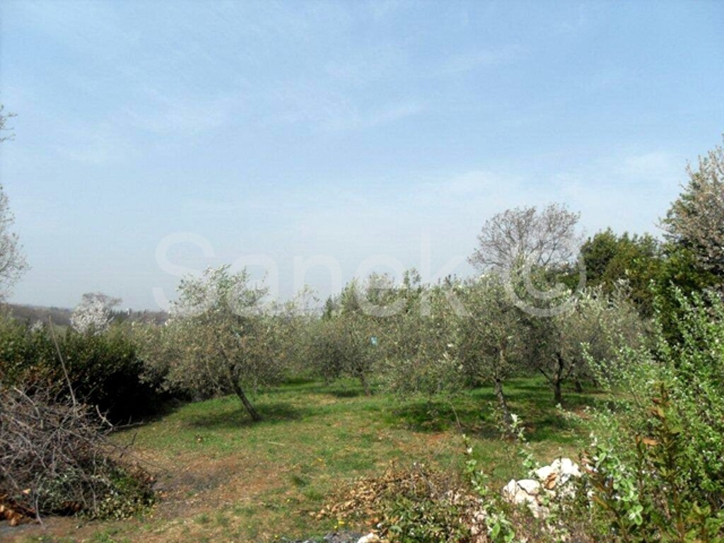 Image 959451 - 8