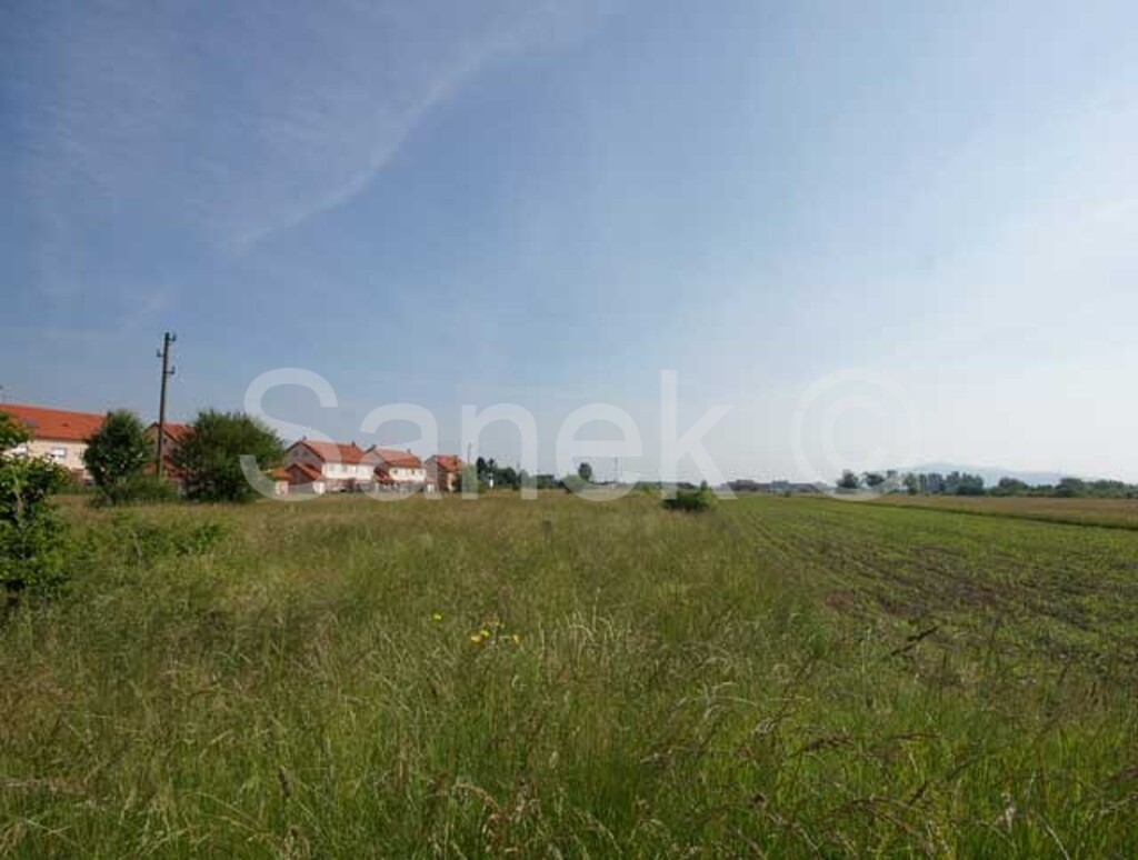 Image 959849 - 3