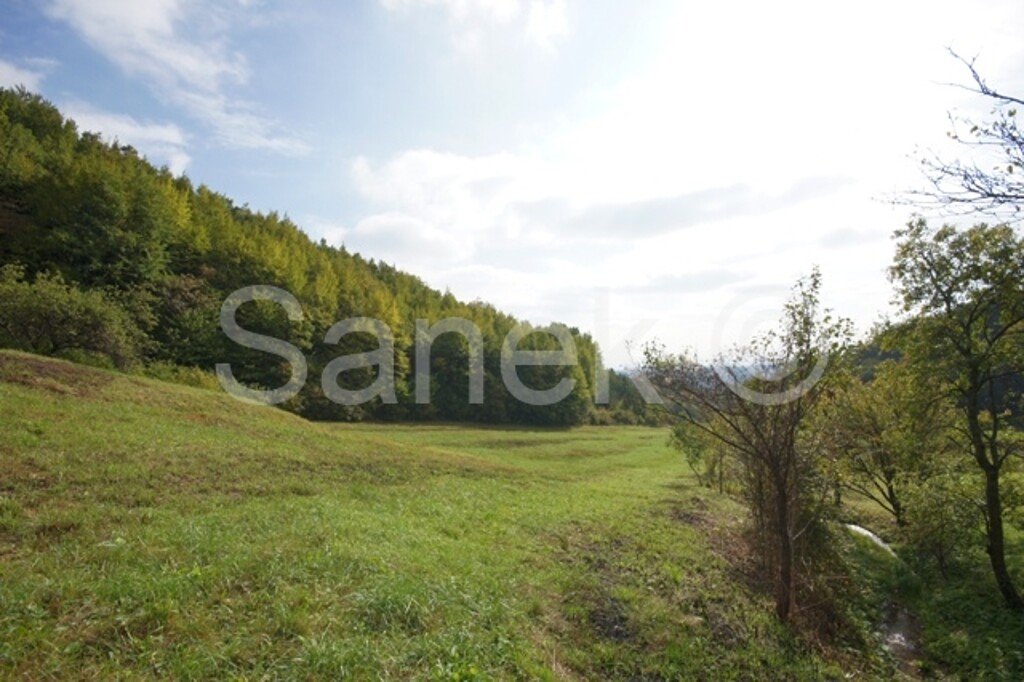 Image 959920 - 2