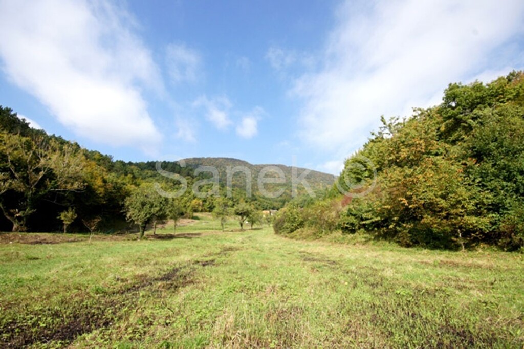 Image 959920 - 9