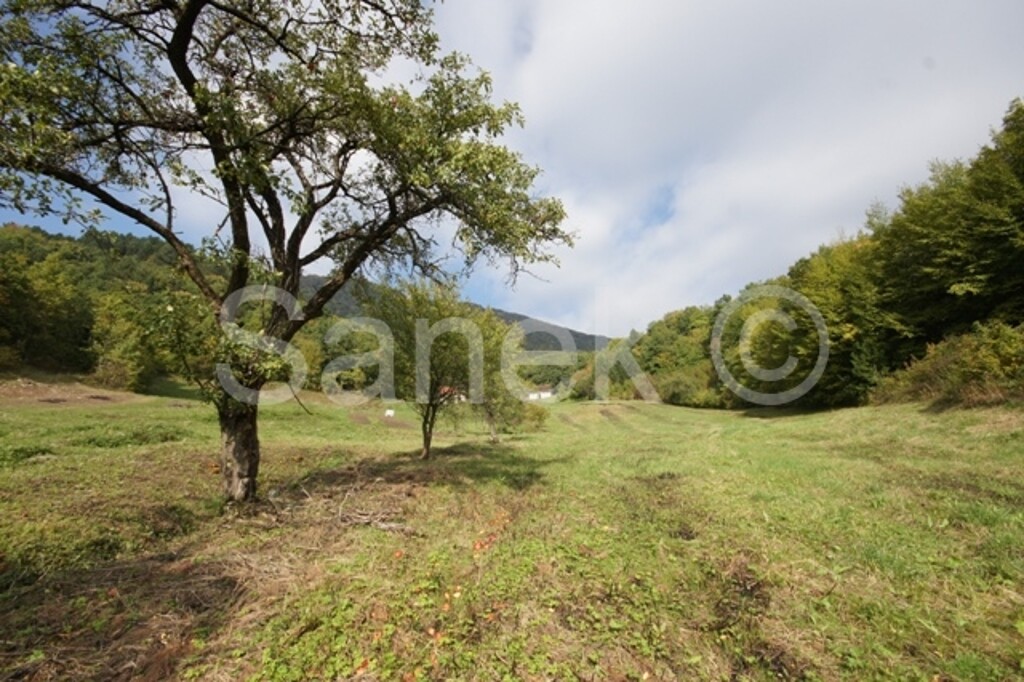 Image 959920 - 6