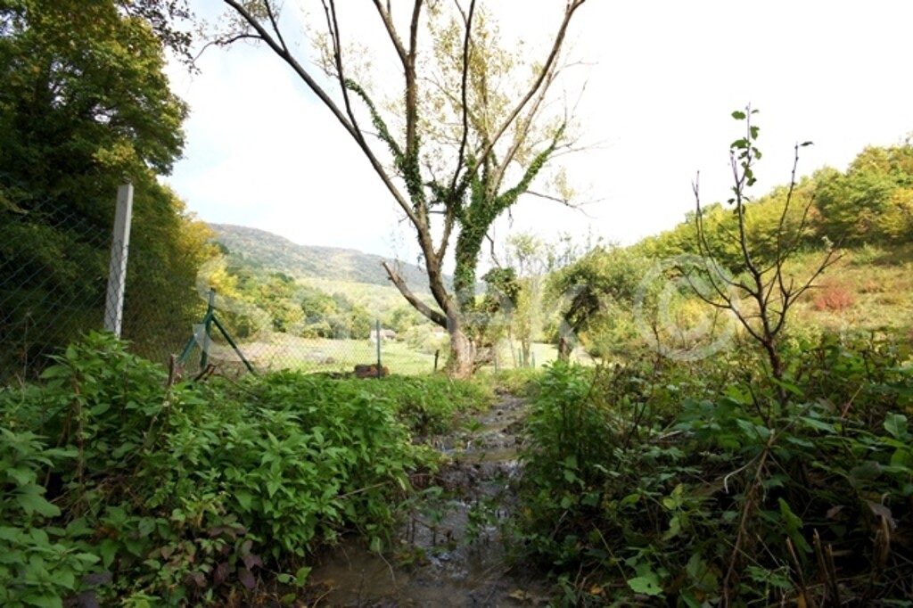 Image 959920 - 5