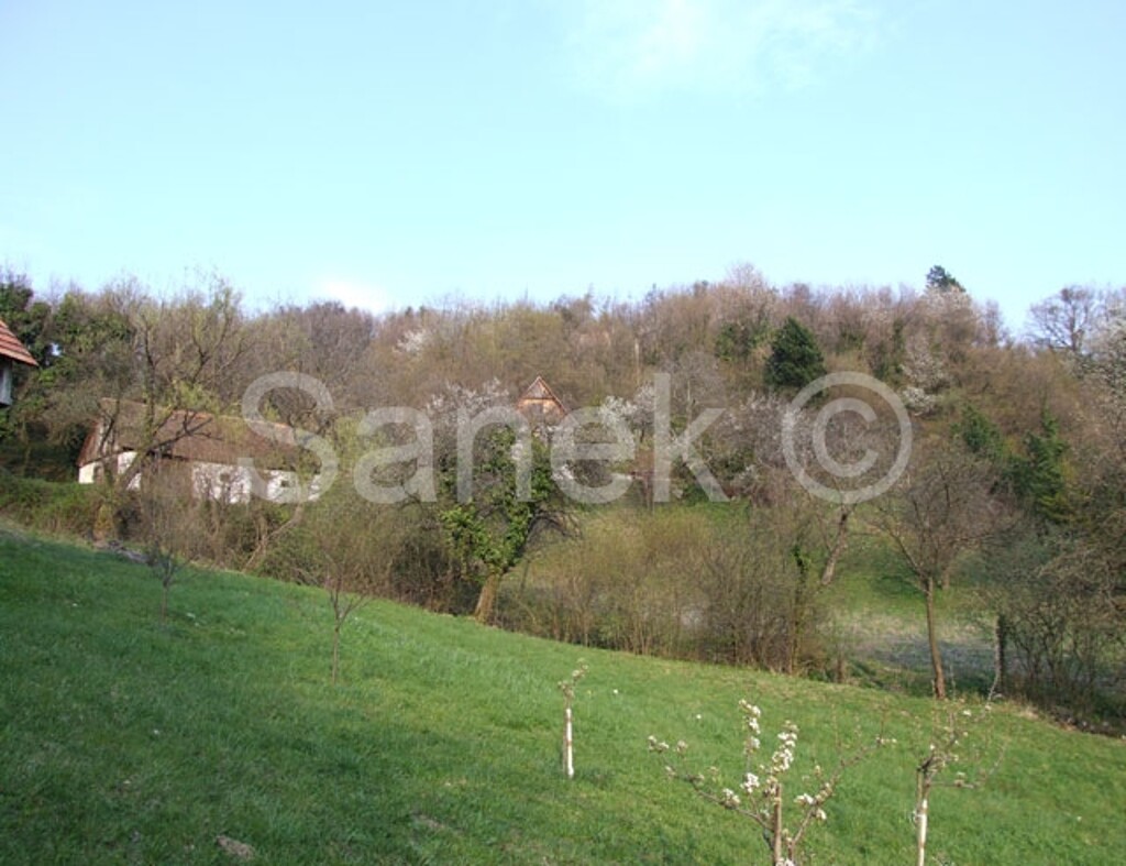 Image 959920 - 10