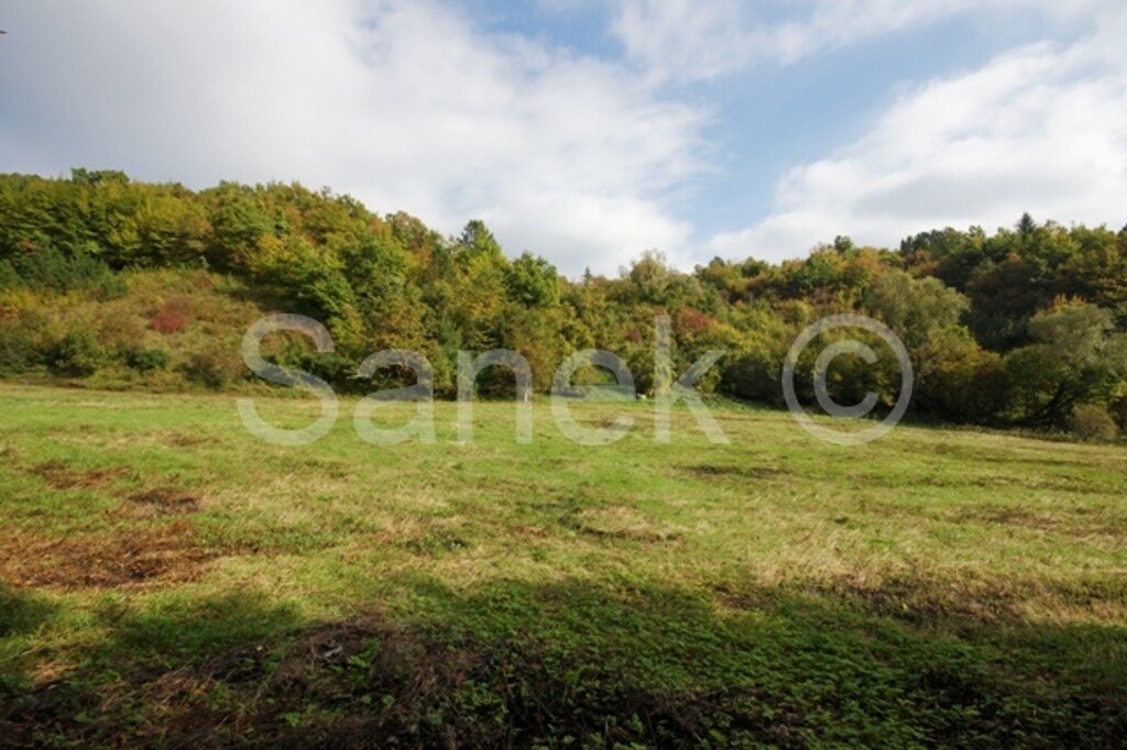 Image 959920 - 3