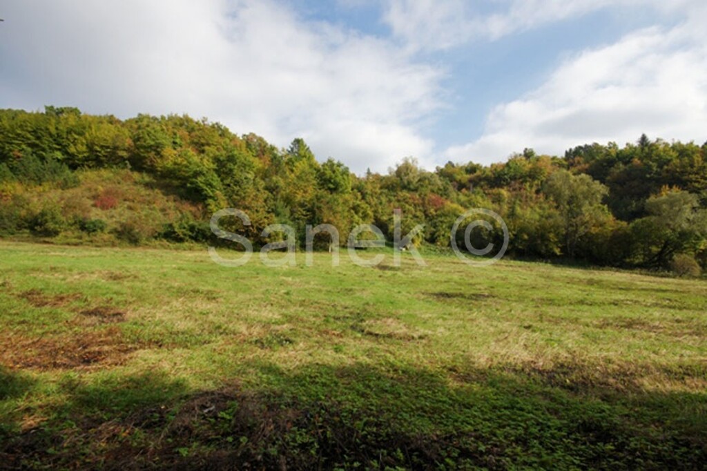 Image 959920 - 7