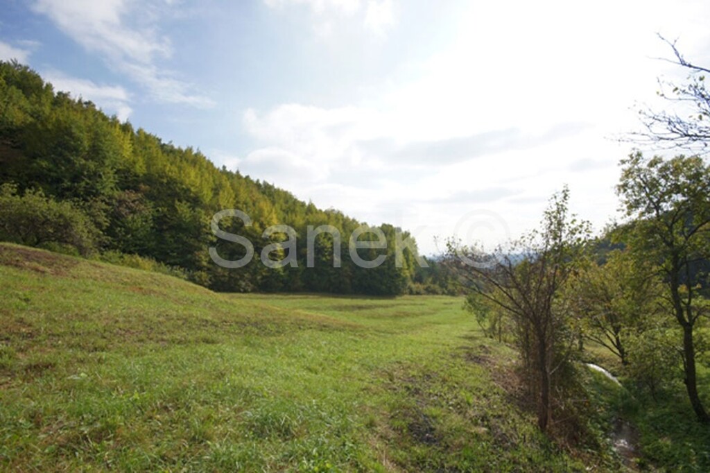 Image 959920 - 8